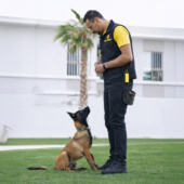 20c17b9e-4cbd-44c3-ba07-89fa376db45f