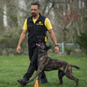 ChatGPT Image Feb 7, 2026, 06_42_14 PM